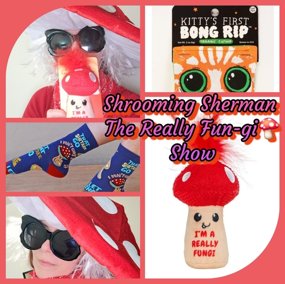 The dumpster fire sell together show on 11/9 at 4 pm. Put on your adult diapers - Picture 4 of 15